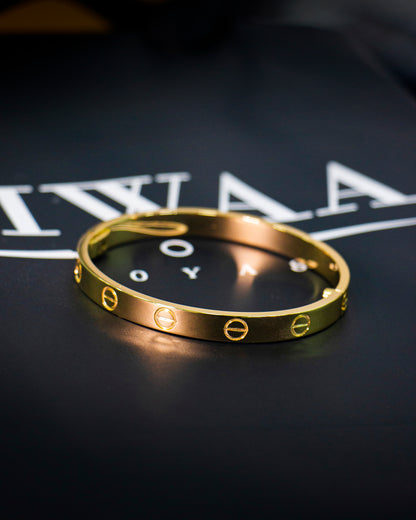 Brazalete de Tornillos